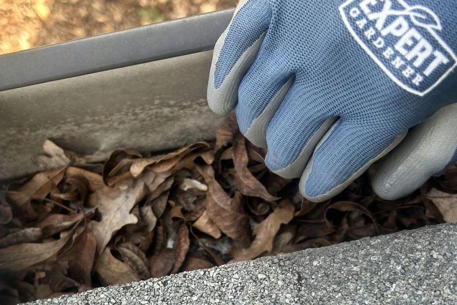 Gutter Cleaning Batesville AR